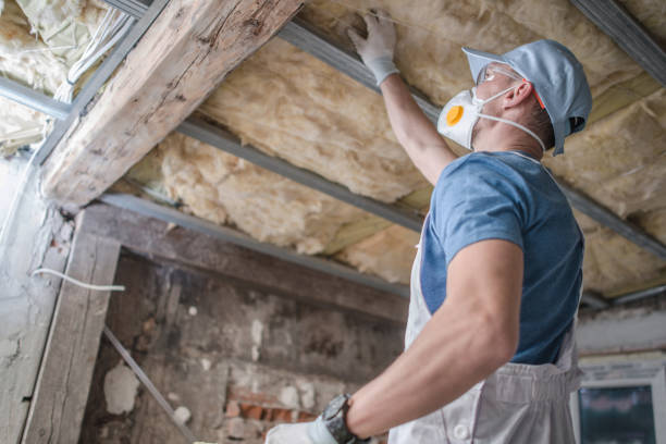 Best Fiberglass Insulation  in Seneca, SC