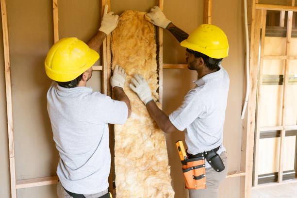 Best Insulation Contractors for Homes  in Seneca, SC